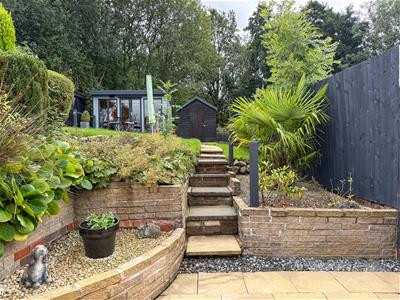 Picture 25